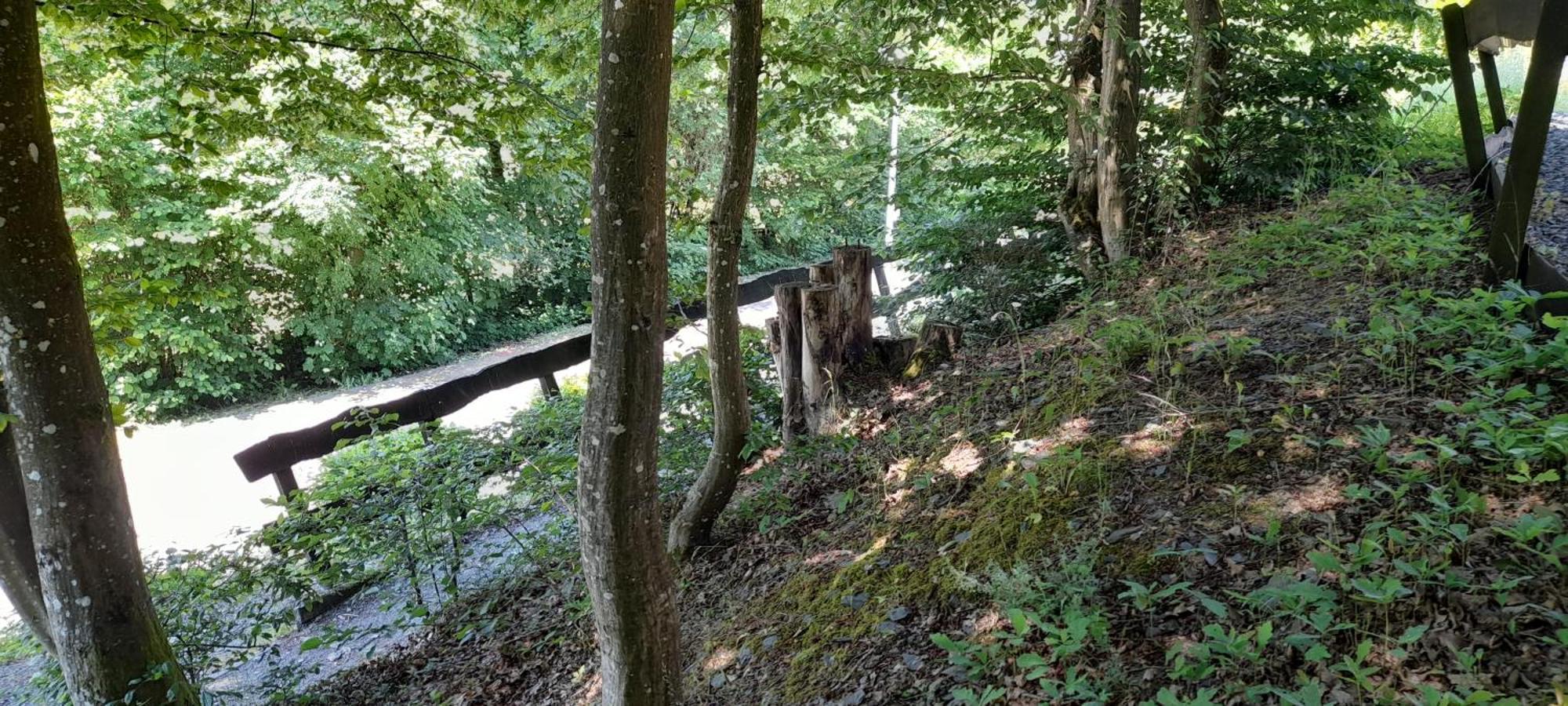 Le Sentier Des Lavandes Vresse-sur-Semois Exterior foto