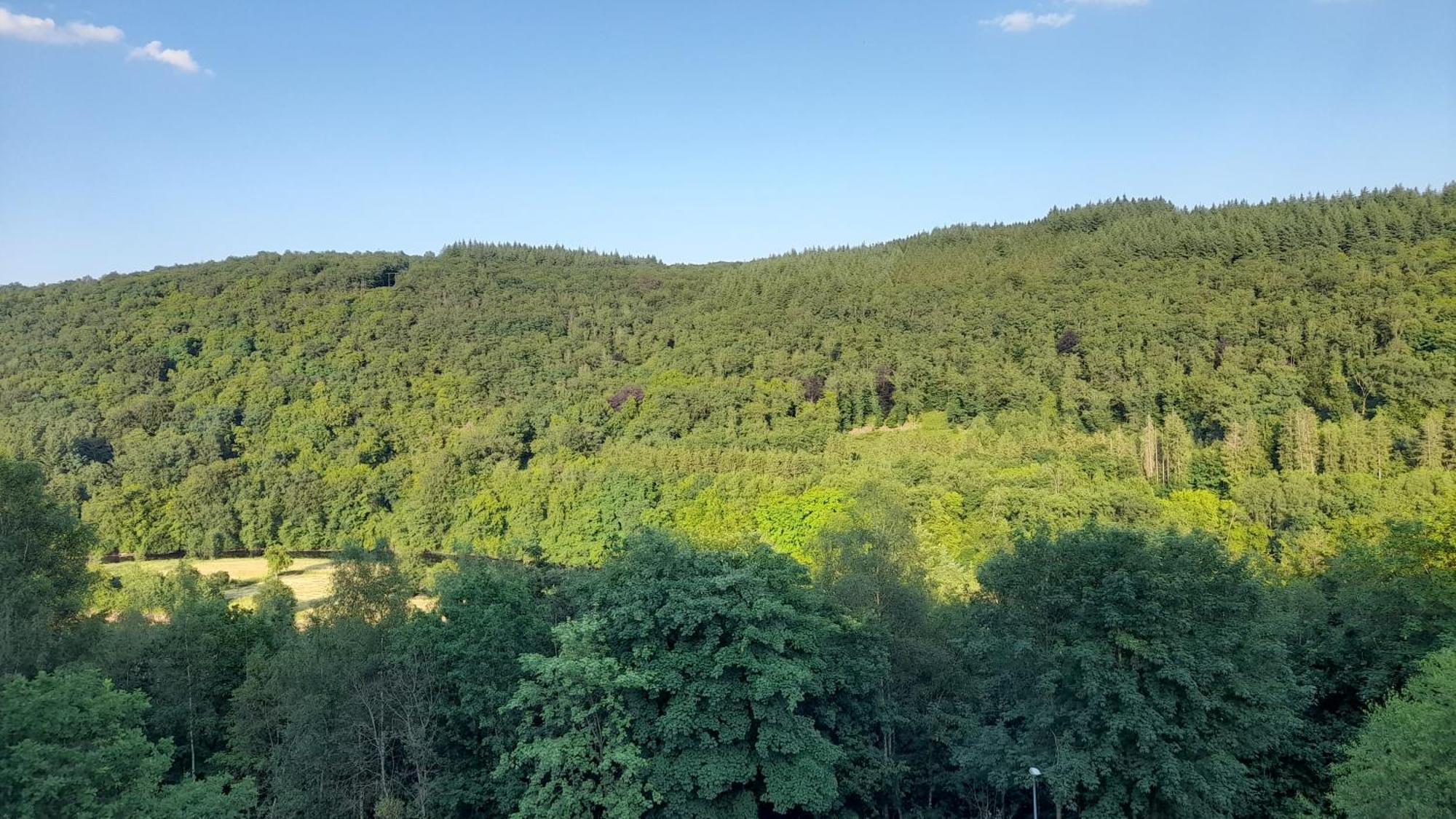 Le Sentier Des Lavandes Vresse-sur-Semois Exterior foto